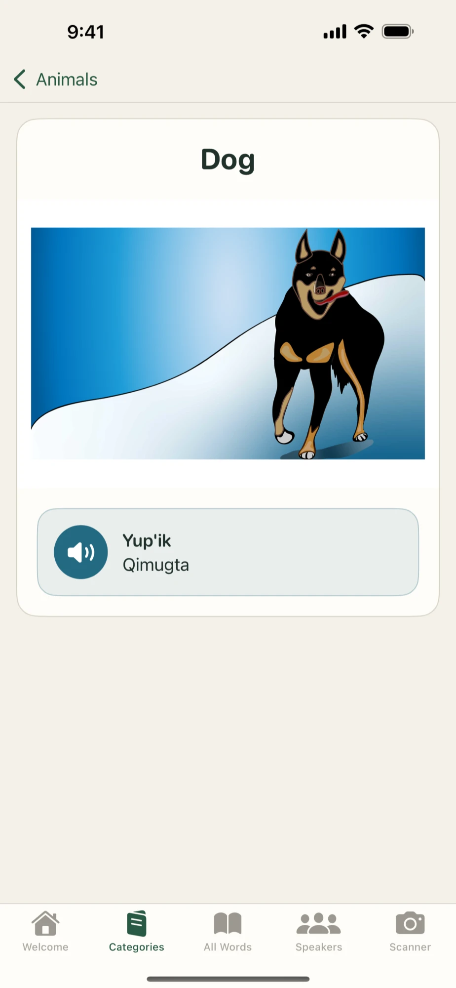 A word with its illustration and audio